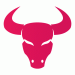 Byk